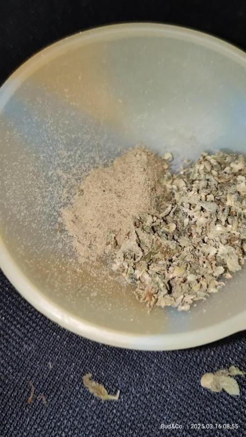 Bud&Co. - By CannaGrower (BR)