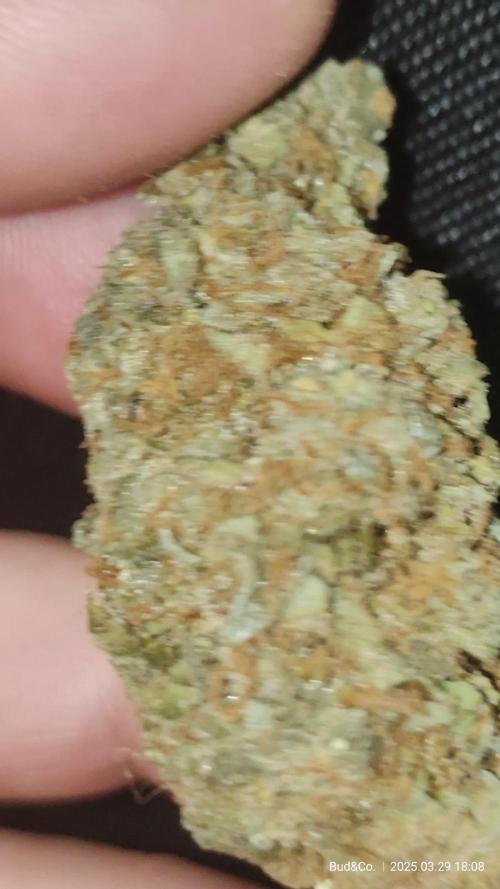 Bud&Co. - By CannaGrower (BR)