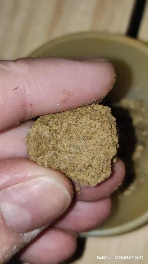 Bud&Co. - By CannaGrower (BR)