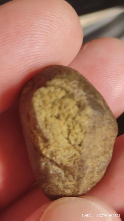 Bud&Co. - By CannaGrower (BR)