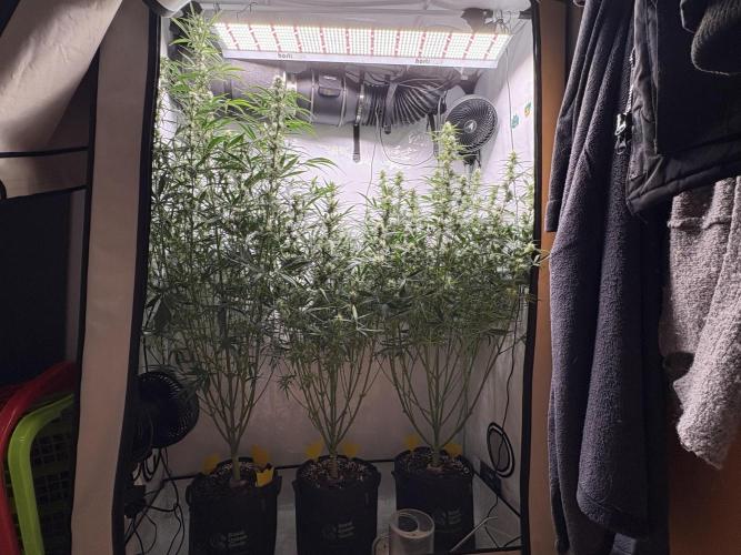 42 FB Apple Strudel. Week 8 - 8. Dezember