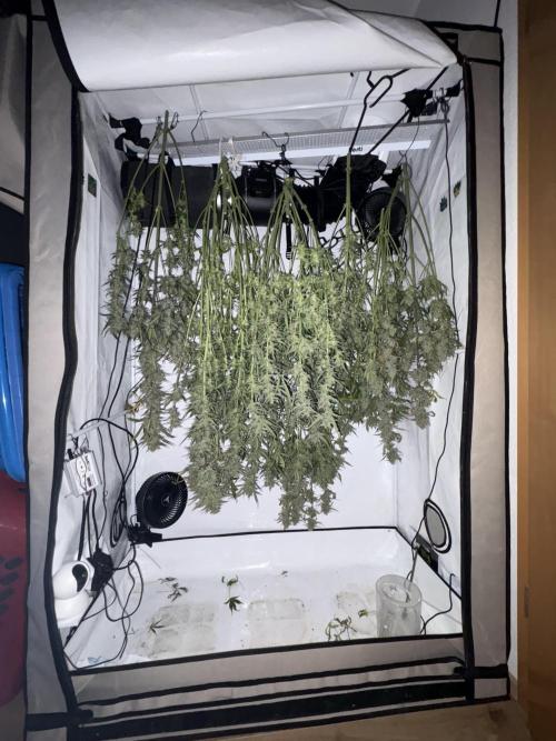 42 FB Apple Strudel. Week 11 - 24. Dezember