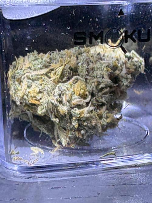 42 FB Apple Strudel. Week 11 - 7. Januar