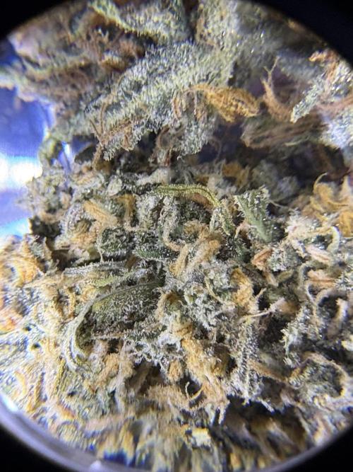 42 FB Apple Strudel. Week 11 - 7. Januar