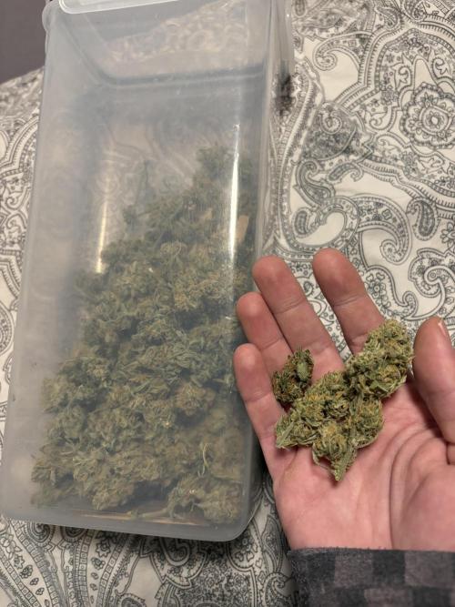 42 FB Apple Strudel. Week 11 - 7. Januar 