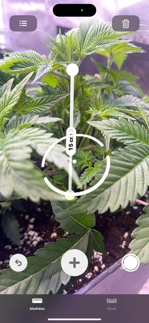 Super Boof. Week 4