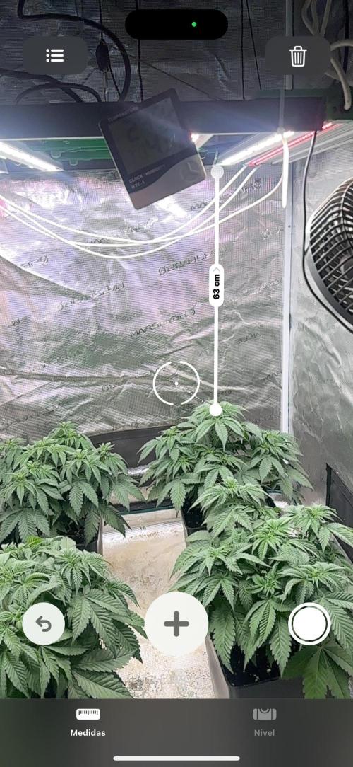 Super Boof. Week 5