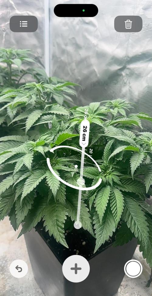 Super Boof. Week 5