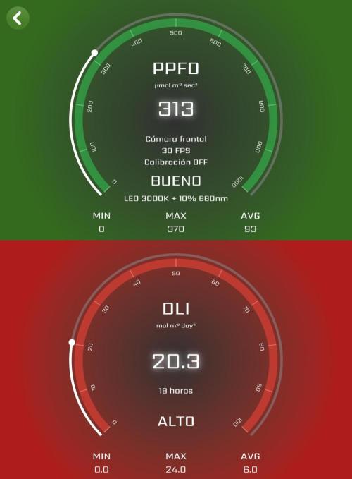 SUPER MONSTER. Week 2