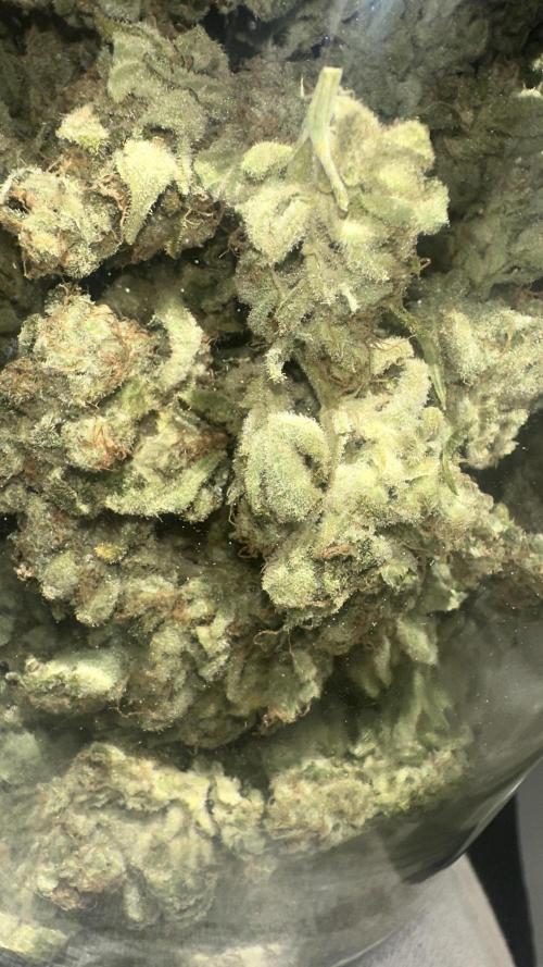 Super Boof. Week 19
