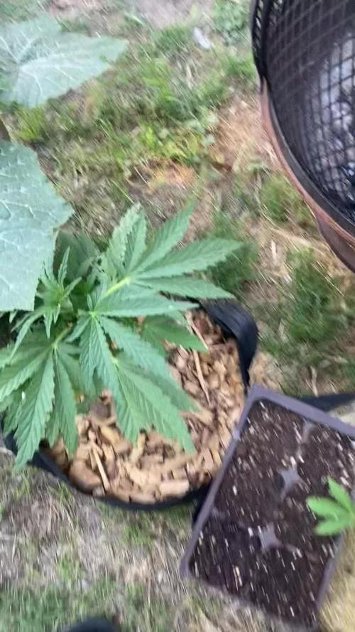 1st Outdoor