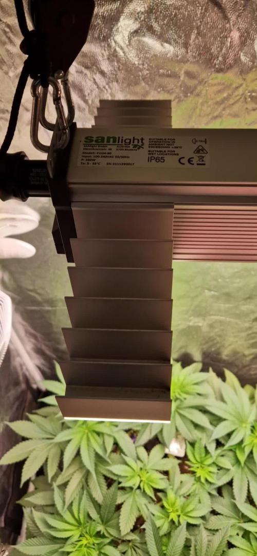 Eternity Grow Cup 🏆 !