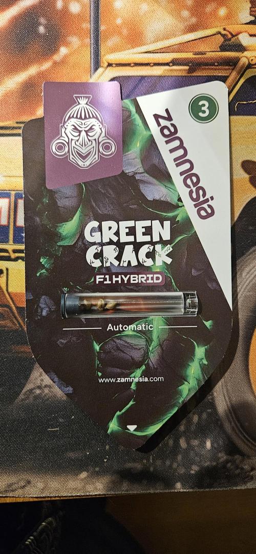 Green Crack F1 Auto/Outdoor. Week 0