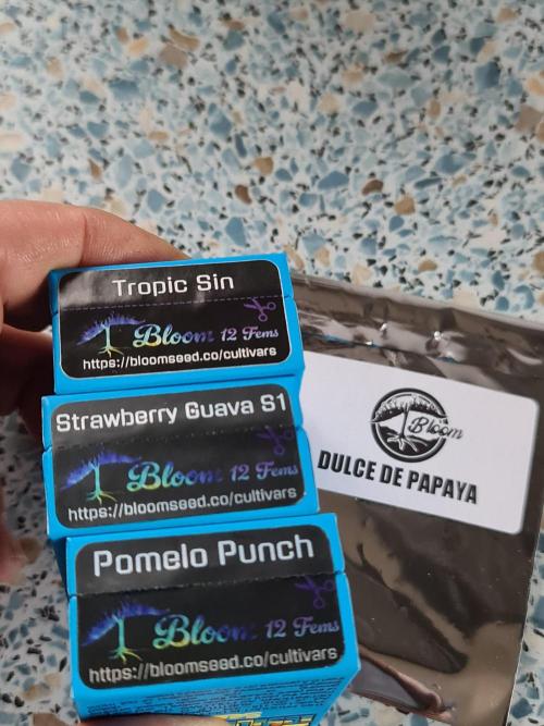 Bloom&Seed.Co. Week 0