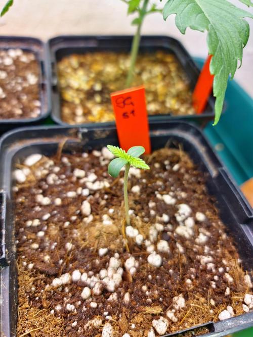 Bloom&Seed.Co. Week 1