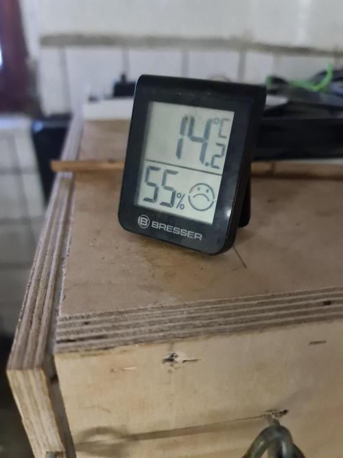 FatalFlower Gen.*Oim's Finest. Week 16