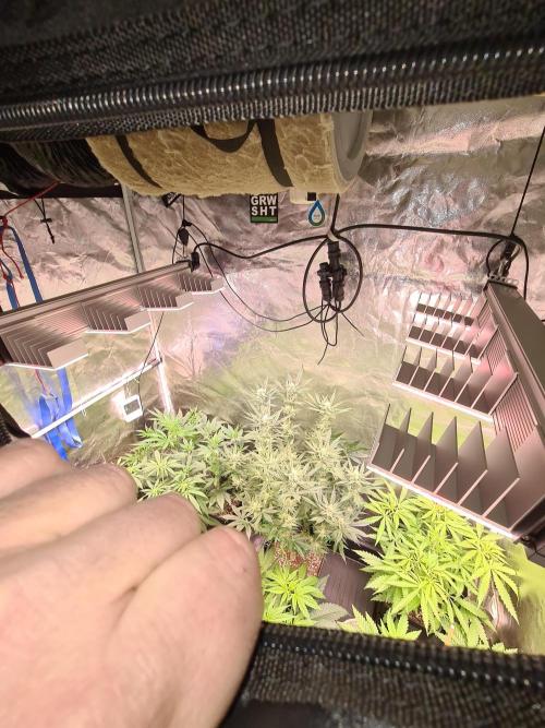 Bloom&Seed.Co. Week 7