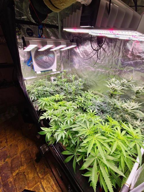 Bloom&Seed.Co. Week 8