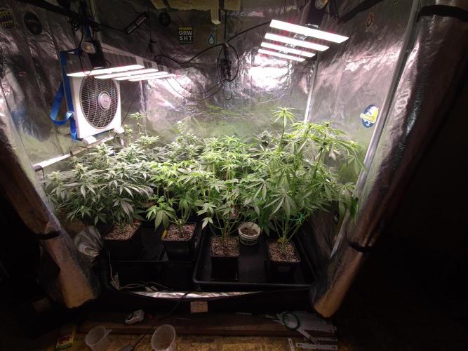 Bloom&Seed.Co. Week 9