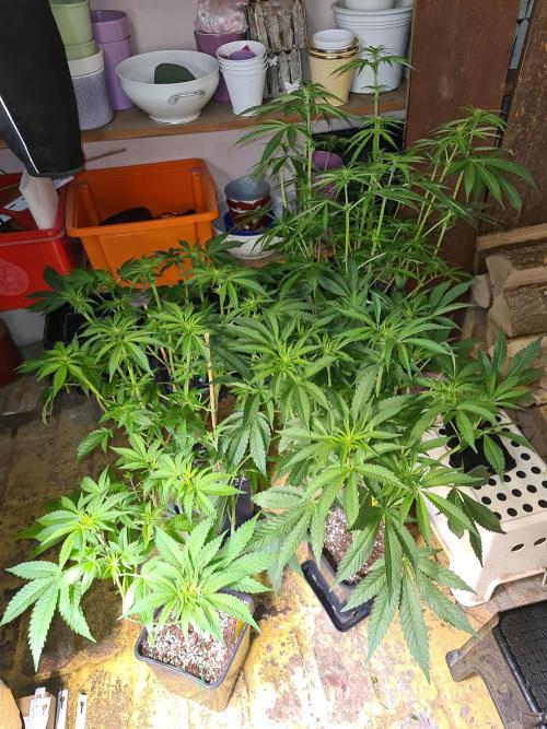 Bloom&Seed.Co. Week 9