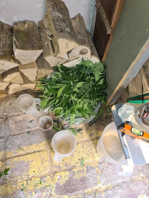 Bloom&Seed.Co. Week 9