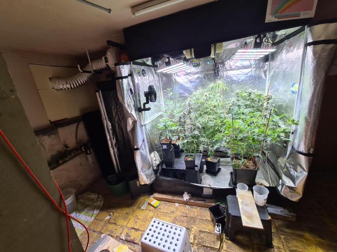 Bloom&Seed.Co. Week 13