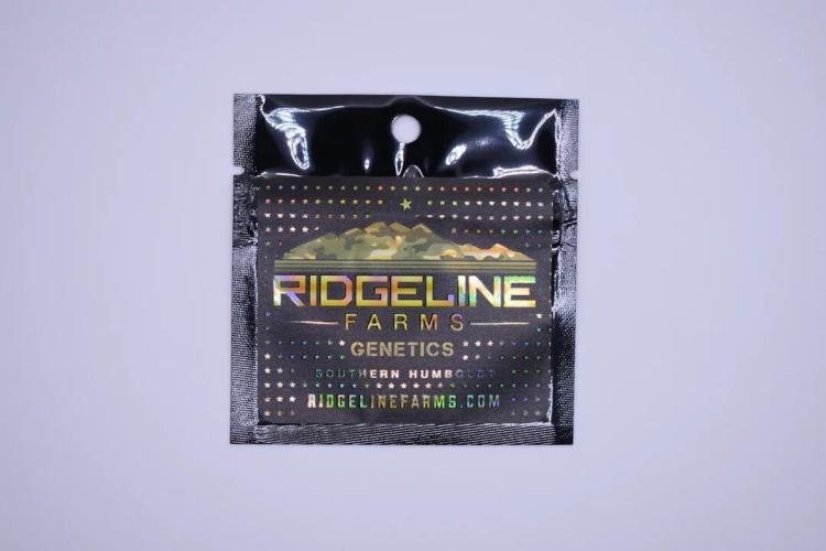 Lamboz - Ridgeline Farms. Week 0