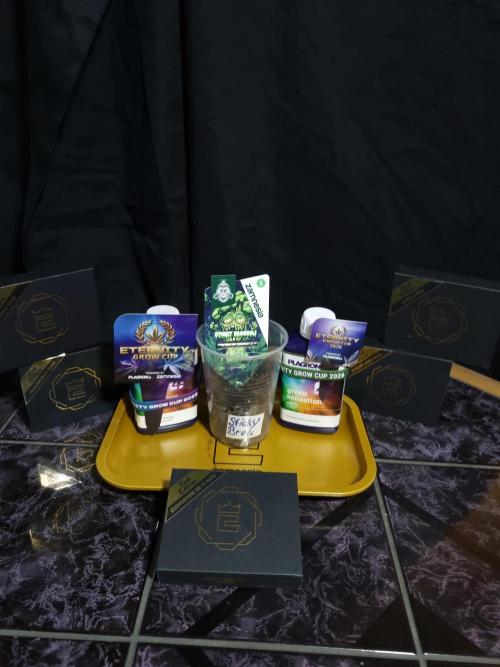 Sticky Broccoly Eternity Grow Cup2026. Week 0