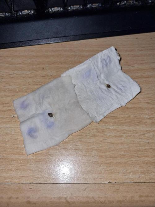 Grizzly Glue By Zamnesia. Week 0