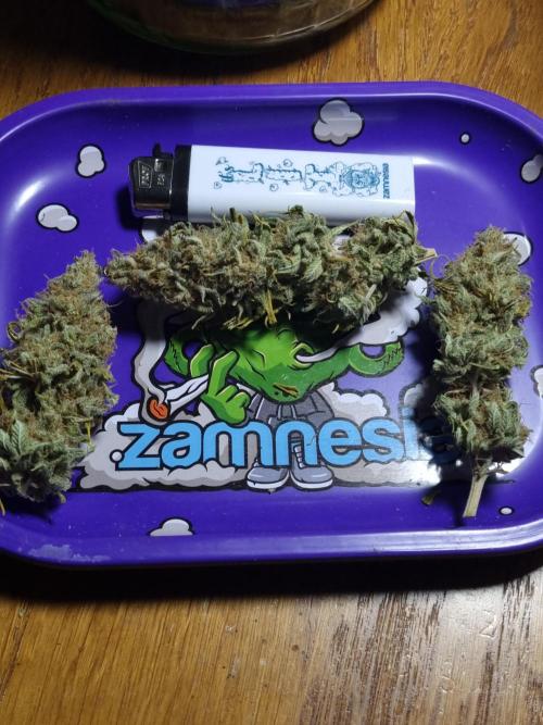 Living soil MultiGrow 3. Runde. Week 17