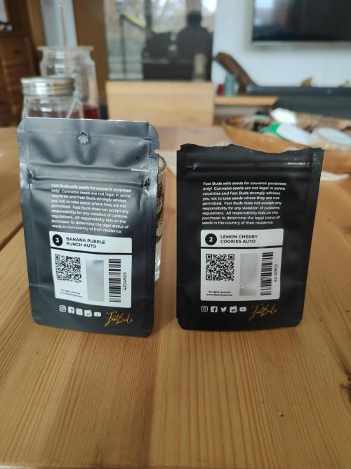 BPP & LCC Auto. Week 0