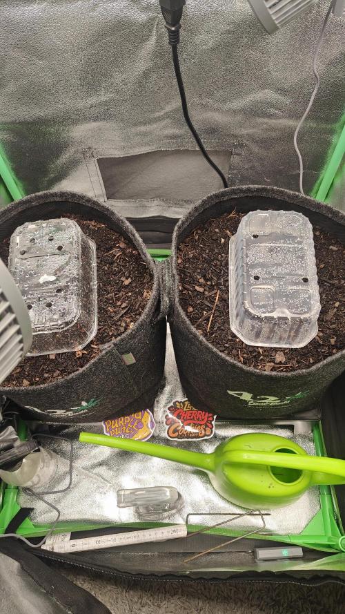 BPP & LCC 2.0. Week 0