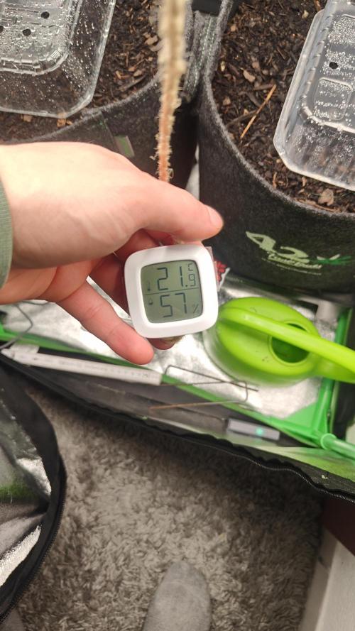 BPP & LCC 2.0. Week 0