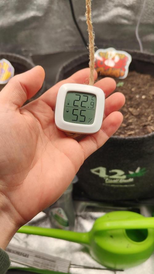 BPP & LCC 2.0. Week 0