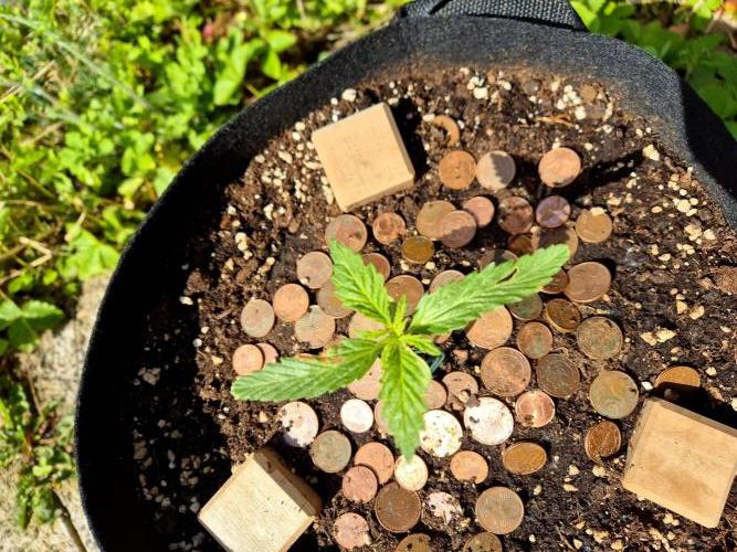 Garbage Lady aka Mrs.April 26. Week 3