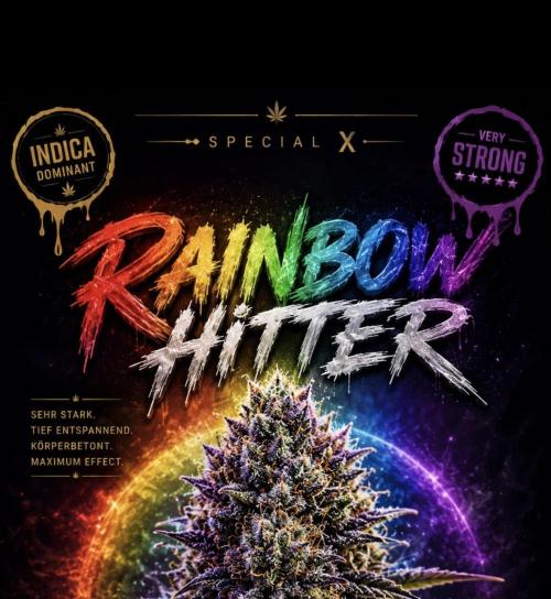 Rainbow Hitter. Week 12