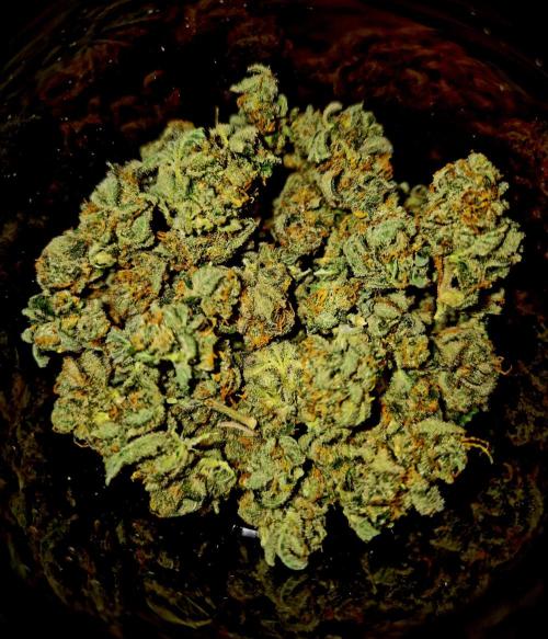 Cream Mandarine main lining. Week 17