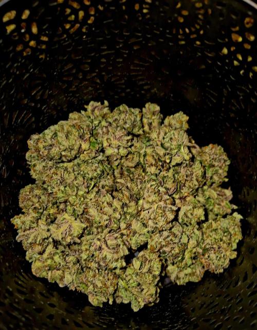 F026 - The Tropical Ice Cream One (USA). Week 17