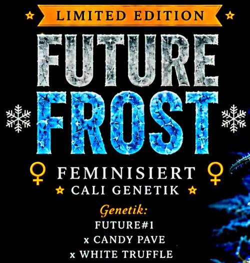 Future Frost by Holy Jeremaiah Genetics. Week 0