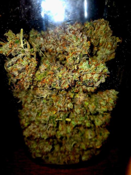 Pink Rozay. Week 18
