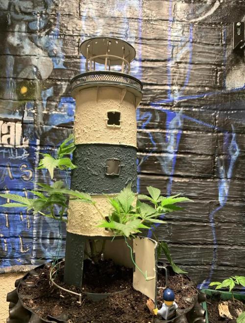 Lighthouse keeper