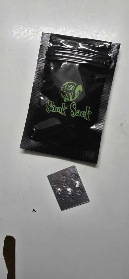 India Time (idfk). Week 0 - Putting them in one of these because the area with the right temp isn't dark.