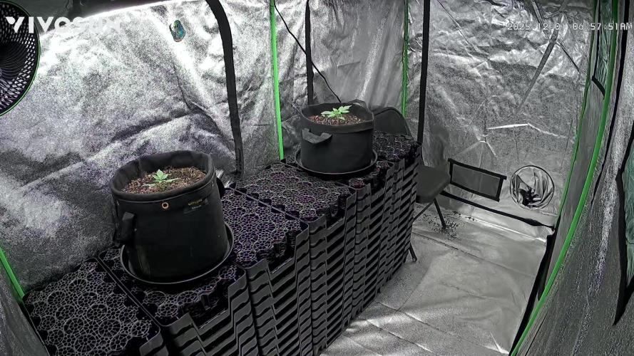 Redemption Grow. Week 1