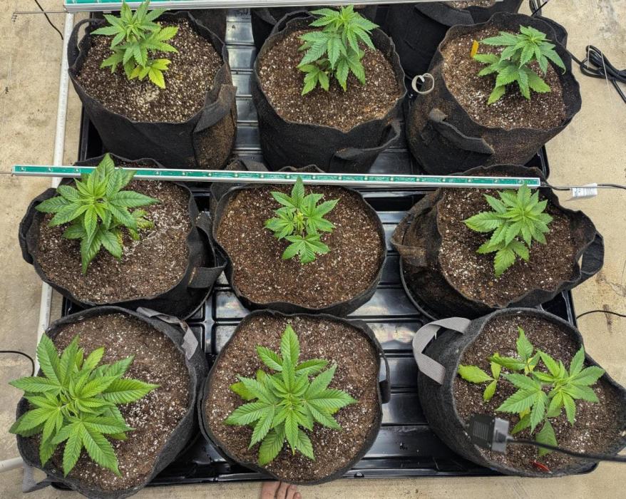 Last Boof. Week 3 - Getting there