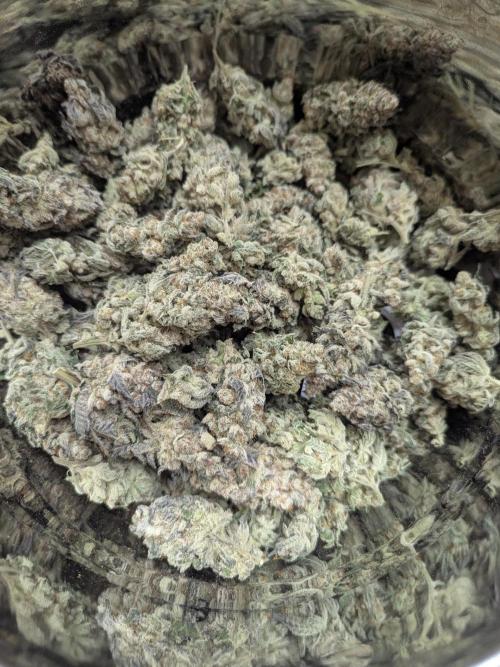 Soldier Fx3. Week 20 - Dense Frosty