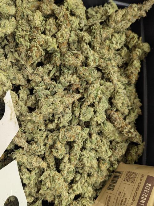 Cartier crops / Dj short Blueberry. Week 14 - Box o weed