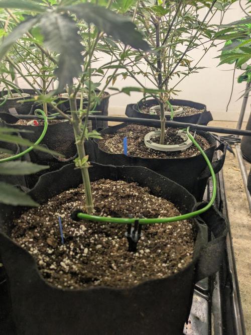 FX3 line clone. Week 5 - A janky manifold I made