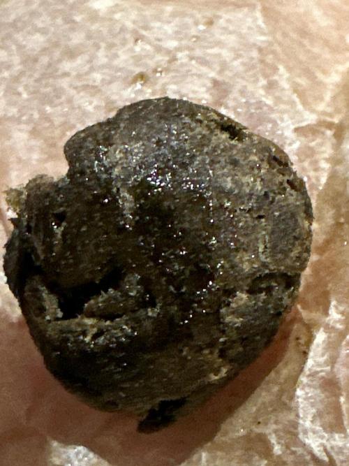 Mephisto genetics. Week 13