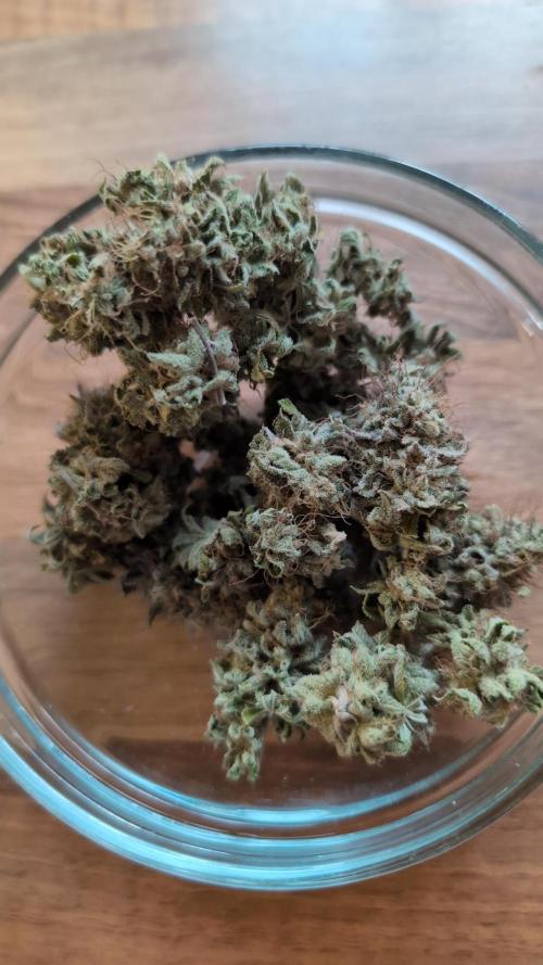 Purple Punch. Week 15