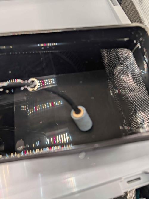 Criminal Seeds x Snowball x Spritzer. Week 0 - Bubbler